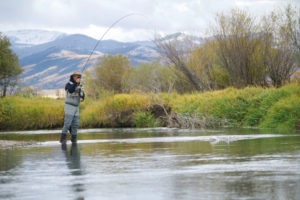 fishing in Montana